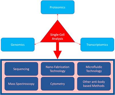 Frontiers Single Cell Transcriptome Analysis For Cancer And Biology